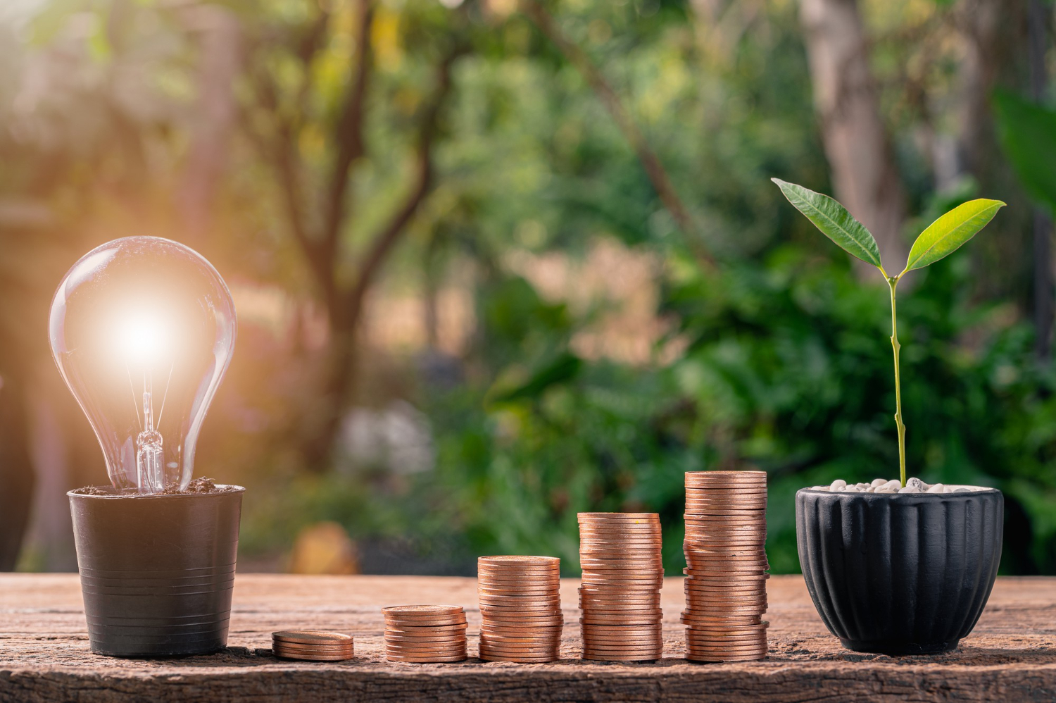 Financial Growth Graphs